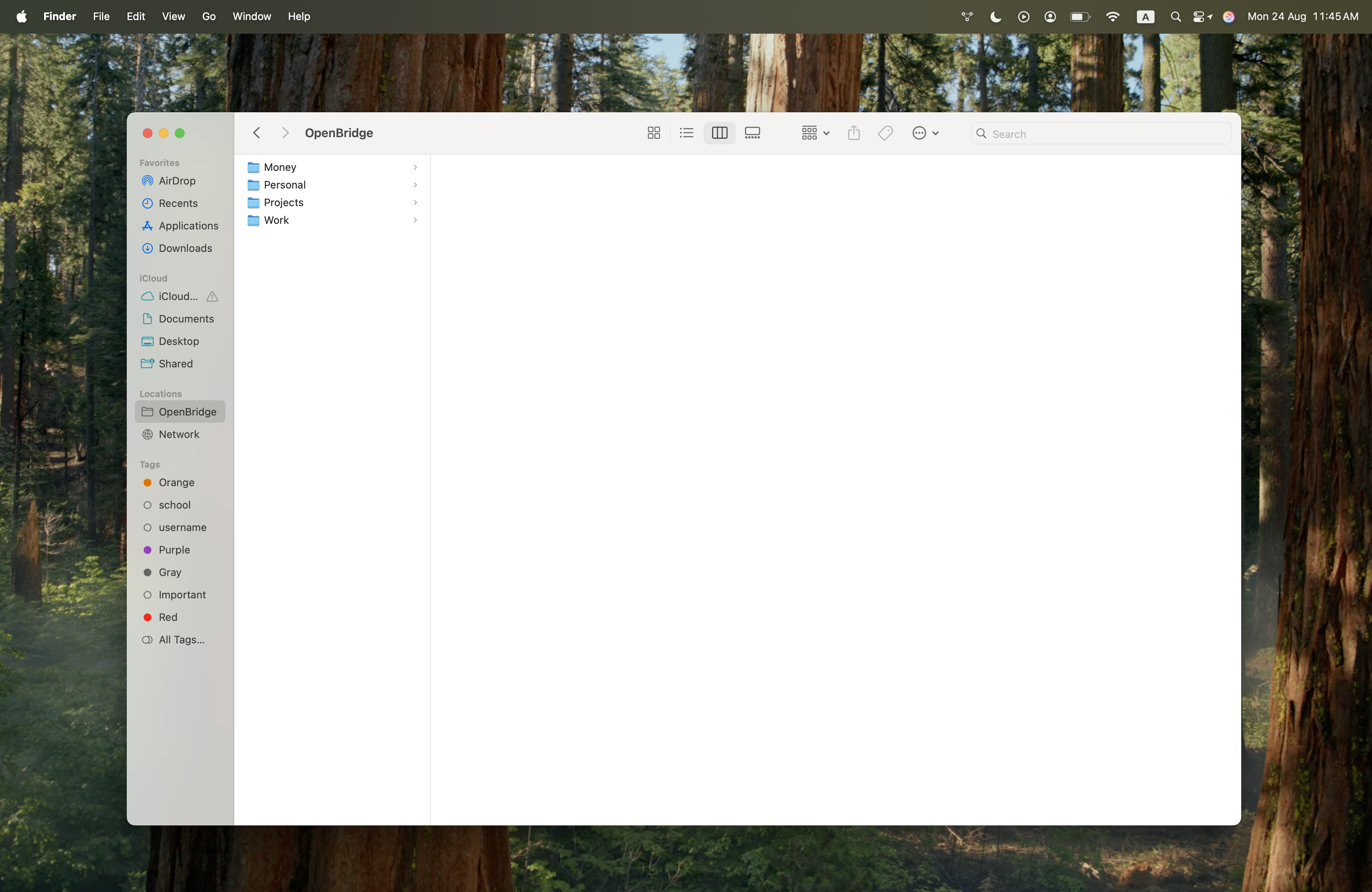 OpenBridge AI-organized virtual files mounted natively inside macOS Finder under Locations